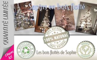 sapin bois flotté